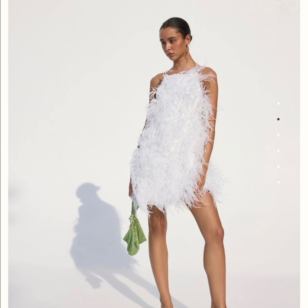 Cult Gaia Shannon dress